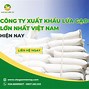 Công Ty Xuất Nhập Khẩu Gạo Lớn Nhất Việt Nam