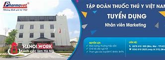 Cty Xkld Vov Hà Nội Tuyển Dụng 2024