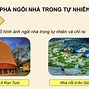 Mĩ Thuật 7 Chân Trời Sáng Tạo Bài 7