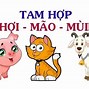 Tuổi Dậu Mr Xung Khắc Mệnh Gì Hợp